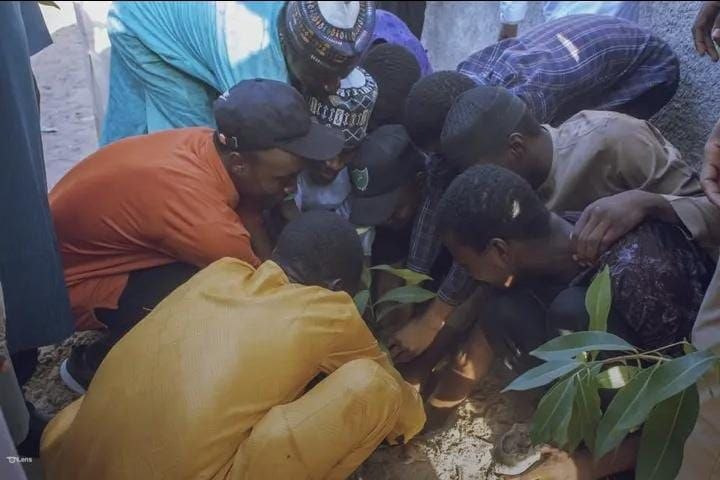 Sustenaa impact photo 3